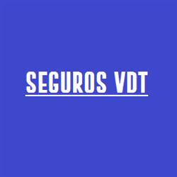 SEGUROS VDT