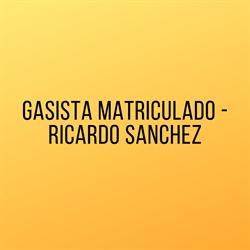 GASISTA MATRICULADO - RICARDO SANCHEZ