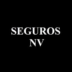 SEGUROS NV