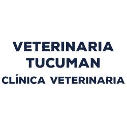 Veterinaria Tucumán Clínica Veterinaria