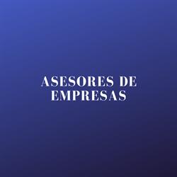 ASESORES DE EMPRESAS