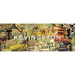 KEVINGSTONE DE ALICIA PEDEMONTE