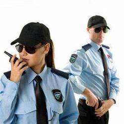 NESCARMI SEGURIDAD SA