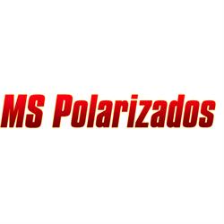 MS Polarizados