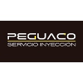 PEGUACO SERVICIO INYECCION