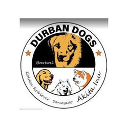 Durban Dogs