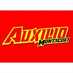 Auxilio y Grúas Monticoli