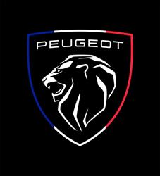 BOULEVARD PARIS - CONCESIONARIO OFICIAL PEUGEOT