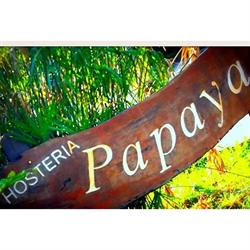 HOSTERIA PAPAYA