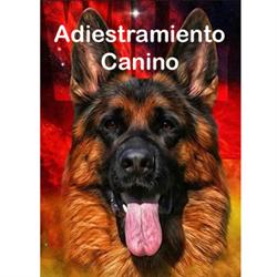 ADRIESTRAMIENTO CANINO