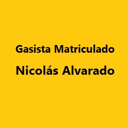GASISTA MATRICULADO NICOLAS ALVARADO