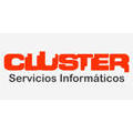 CLUSTER SRL