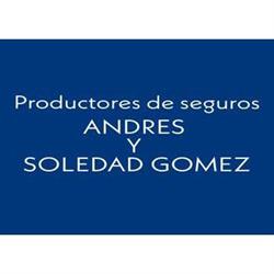 Productores de Seguros Andres y Soledad Gomez