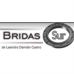 Bridas Sur