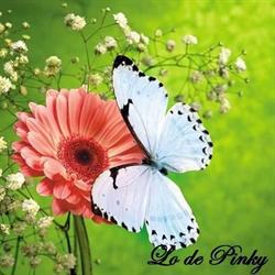 LO DE PINKY