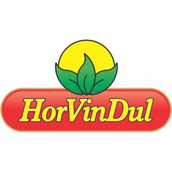 HORVINDUL SRL
