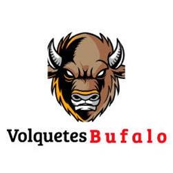 VOLQUETES BUFALO