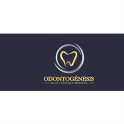 Ontogénesis