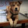 # 2