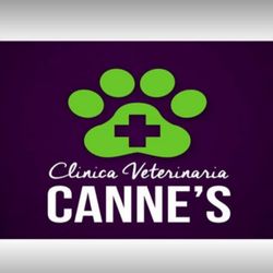 Canne's Veterinaria - Clínica Veterinaria - Electrocardiogramas - Radiografías
