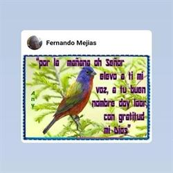INQUIETUDES ESPIRITUALES