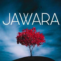 JAWARA DECO