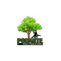 Podarte - Poda de Árboles en Altura