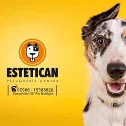 Estetican Peluquería Canina