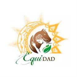 Proyecto Equidad - Terapias Holísticas y Soluciones Sistémicas