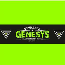 GIMNASIO GÉNESYS