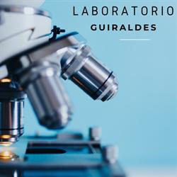 Laboratorio Guiraldes