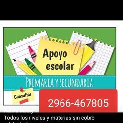 ACADEMIA INTEGRAL DE APOYO ESCOLAR