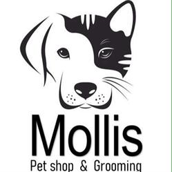 Mollis Pet Shop & Grooming