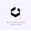 MICROSOUL