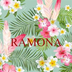 RAMONA DISEÑO Y CONFECCION