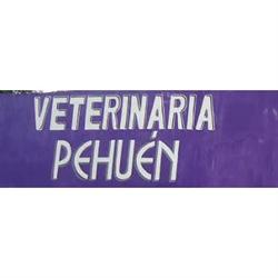 Veterinaria Pehuén