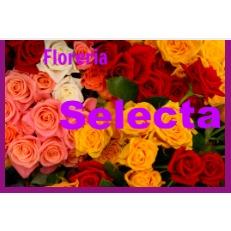 FLORERIA SELECTA
