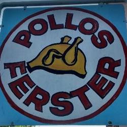 Pollos Ferster - produccion propia