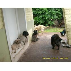 VETERINARIA SAN AGUSTIN