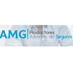 AMG PRODUCTORES ASESORES DE SEGUROS