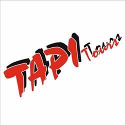 Tapi Tours - Combis Ejecutivas - Corta y Larga Distancia