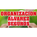 SEGUROS ORGANIZACION ALVAREZ