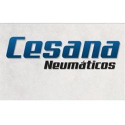 CESANA NEUMATICOS DE FERNANDO CESANA
