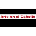 ARTE EN EL CABELLO