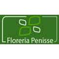 FLORERIA PENISSE