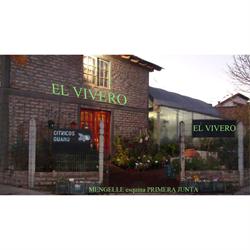 EL VIVERO