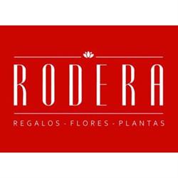 Flores y Regalos Rodera