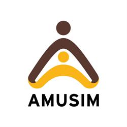 Optica Amusim