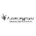 LEMONGRASS CATERING