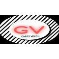 GAFAS VISION